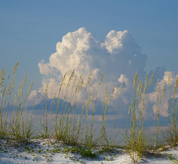 Level up your AI Engineering skills